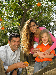 小女孩和带桔子的父母图片