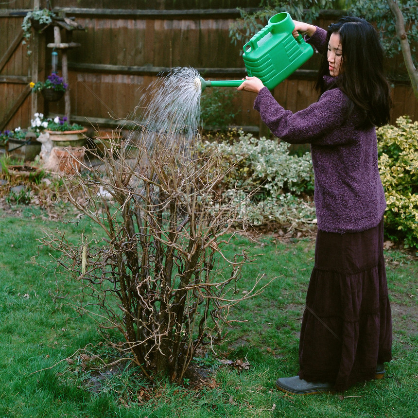 给植物浇水的女人图片