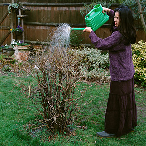 给植物浇水的女人图片