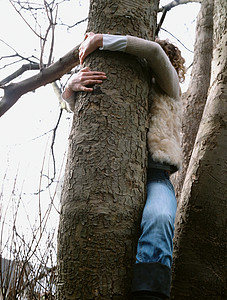一个抱着树的女人图片