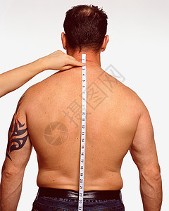 沿男性背部测量图片