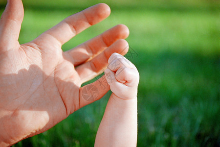 婴儿抓大人的手背景图片