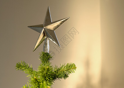 圣诞树上的星星形状背景图片