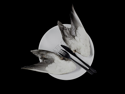 盘子上的鸟图片