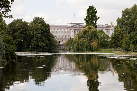 伦敦圣詹姆斯公园和白金汉宫的湖背景图片