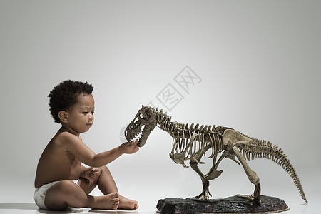 触摸恐龙骨骼的幼童背景图片
