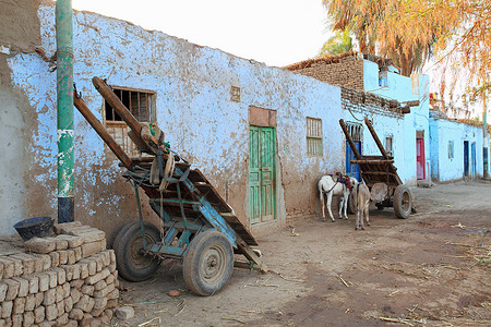 埃及尼罗河附近的村庄背景图片