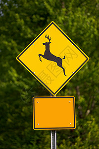 雅鹿标志鹿标志背景