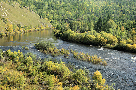 西伯利亚的河流和树木图片