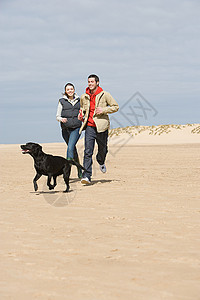 沙滩和狗一对夫妇带着狗在海滩上奔跑背景