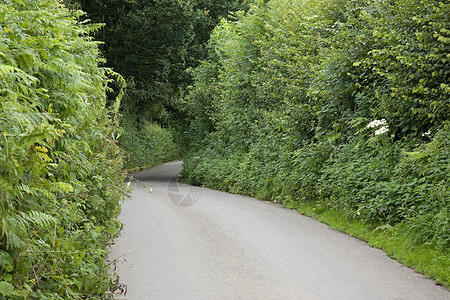 空旷的乡村道路图片