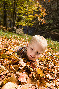 男孩在秋叶中玩耍图片