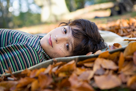 男孩躺在树叶上图片