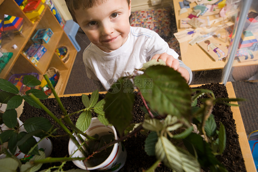 男孩和植物图片