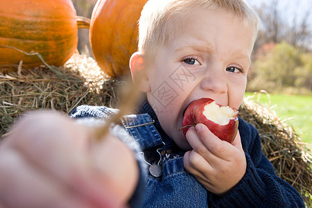 男孩在吃苹果图片