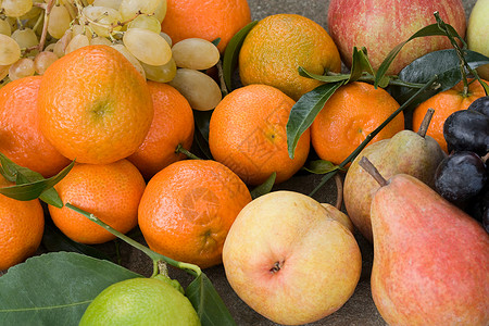 水果橘子ponkan品种高清图片
