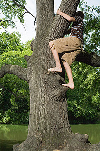 十几岁的男孩爬树图片