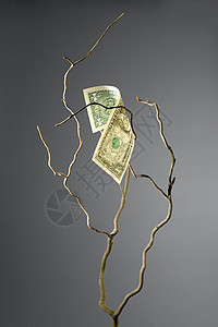 一美元的钞票背景图片