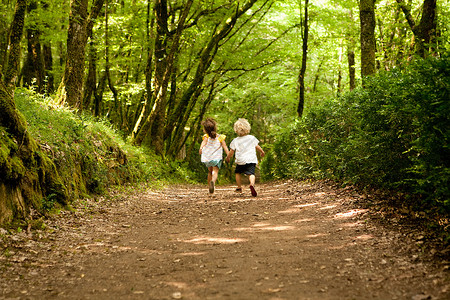 法国森林林地小路上的两个孩子背景