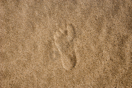 沙中的单一足迹图片