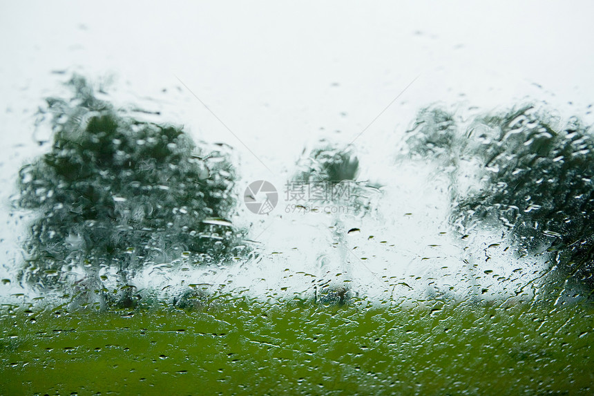 窗外的雨点和棕榈树的景色图片
