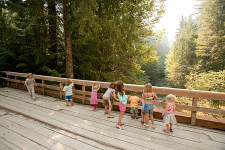 一群孩子站在森林中的木桥上高清图片