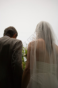 新郎新娘的背面图图片