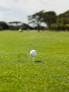高尔夫球场上的高尔夫球图片