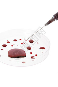注射器和盖有血的培养皿图片