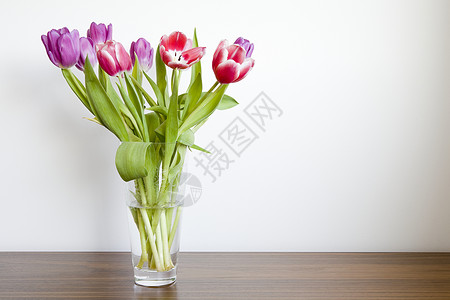 花瓶里的郁金香背景图片