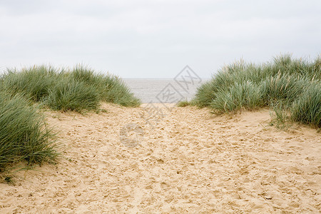 海边的沙丘图片