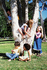 孩子们在树上玩耍图片