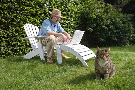 草地上的老人与猫高清图片