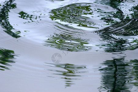 池塘上的涟漪图片