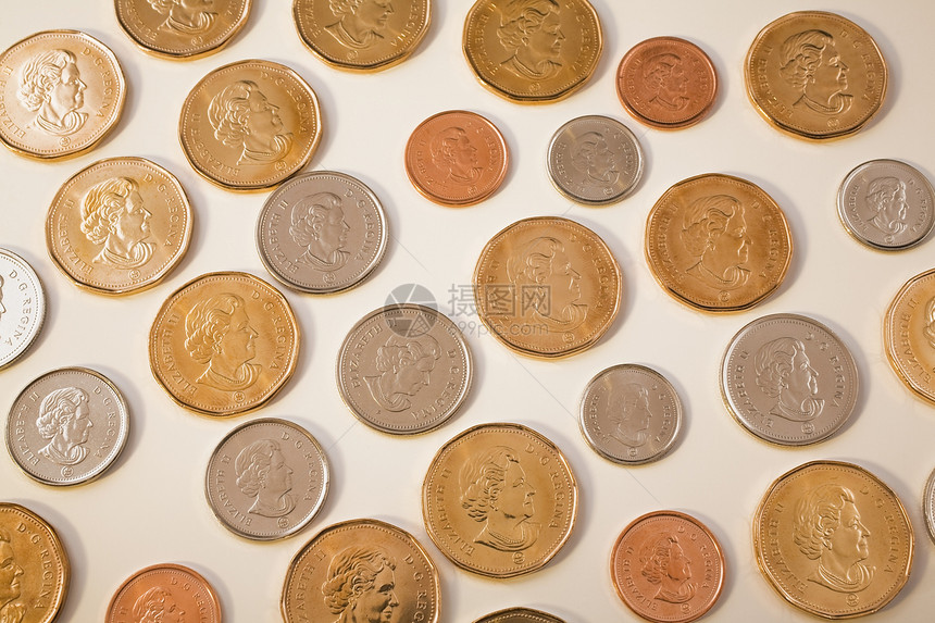 加拿大硬币图片