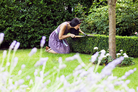 决策树妇女在后院修剪植物背景