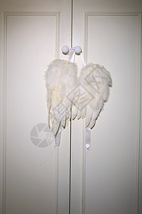 翅膀门素材挂在衣柜门上的天使翅膀背景
