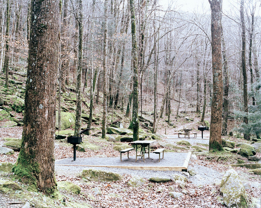 森林里的野餐桌图片