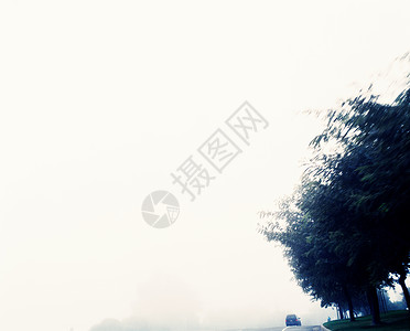 大雾中的汽车背景图片