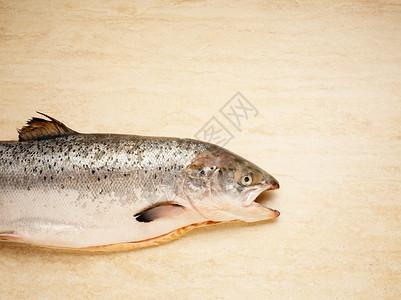 砧板上的鳟鱼背景图片