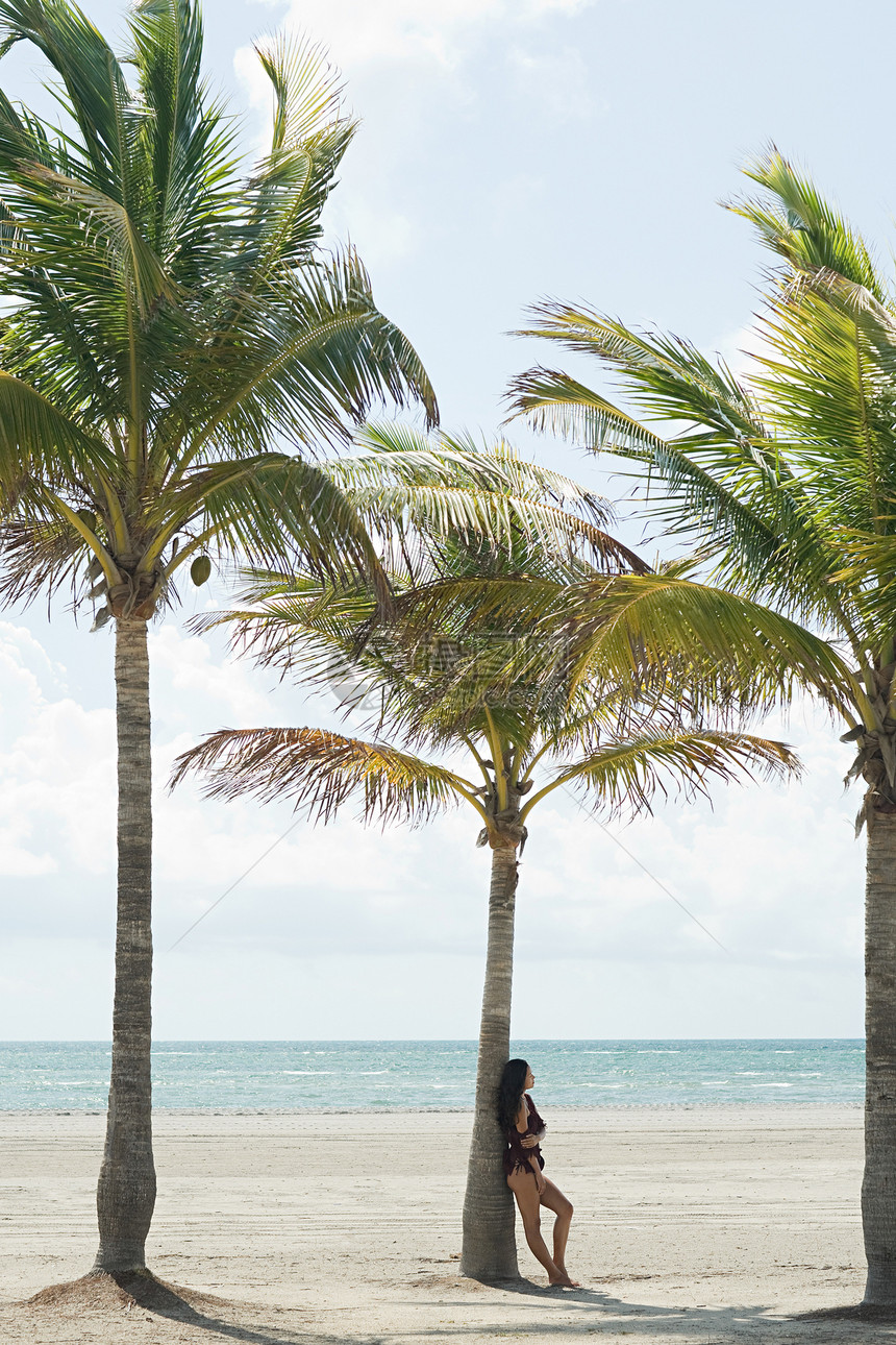 海滩上棕榈树旁的年轻女子图片