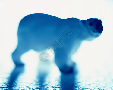 北极熊玩具背景图片