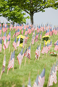 墓地里的美国国旗背景图片