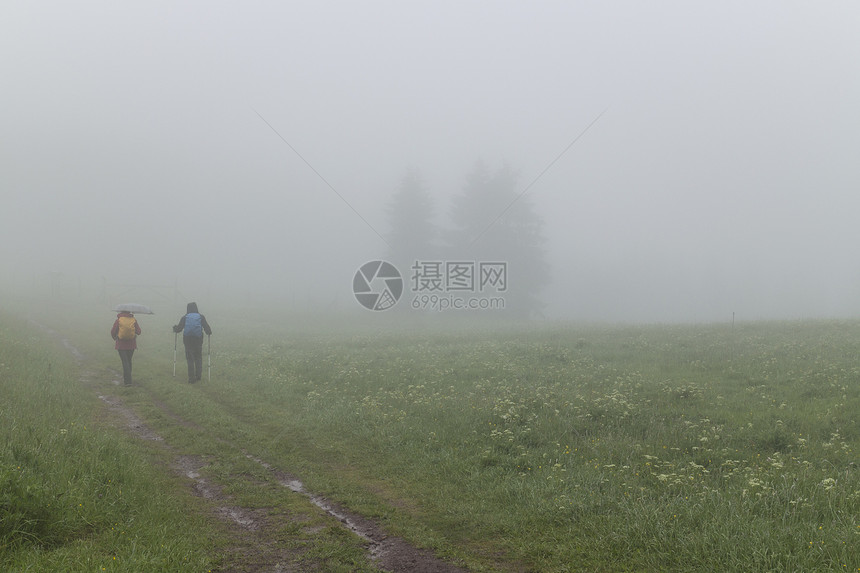 雾蒙蒙的草地上的徒步旅行者图片