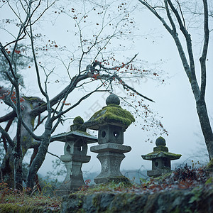 日本墓地图片