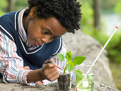 美国小学生在植物上做实验的男孩背景