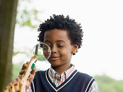 美国小学生用放大镜看玩具恐龙的男孩背景
