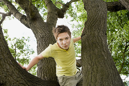 树上的年轻人图片