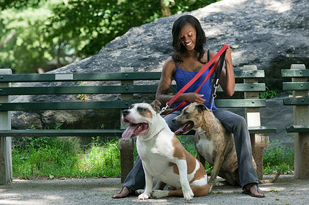女人和她的两只狗坐在公园长椅上高清图片