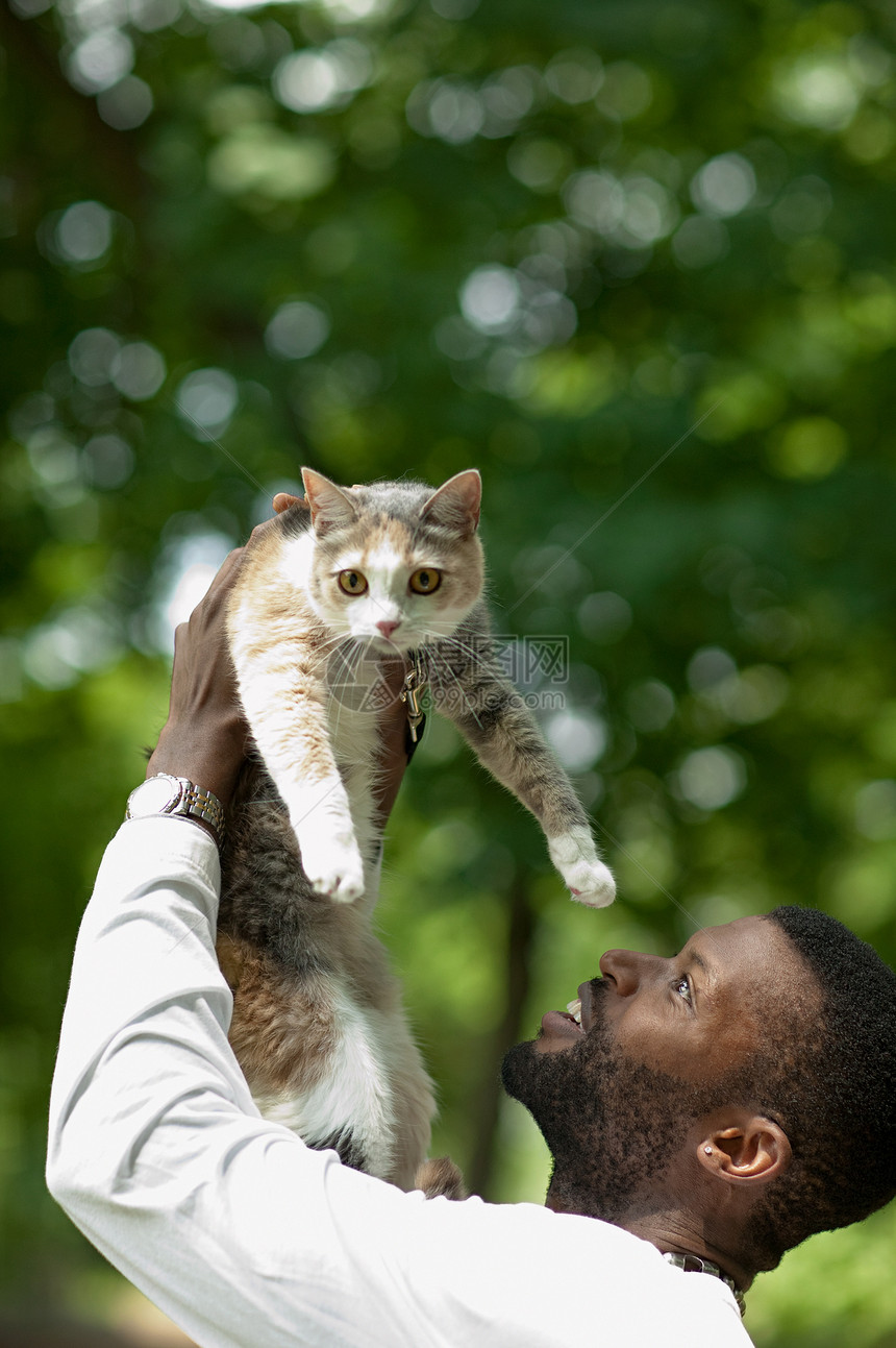 把猫抬起来的人图片